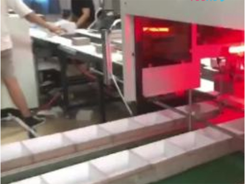 龍巖雙視覺定位線,雅馬哈機械手（自動調(diào)模成型機）